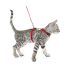 Home Pyramid Cat Scratcher